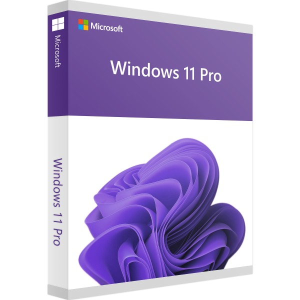 Windows 11 Pro - Version complète - ESD - Anglais
