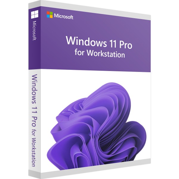 Windows 11 Pro pour Workstation